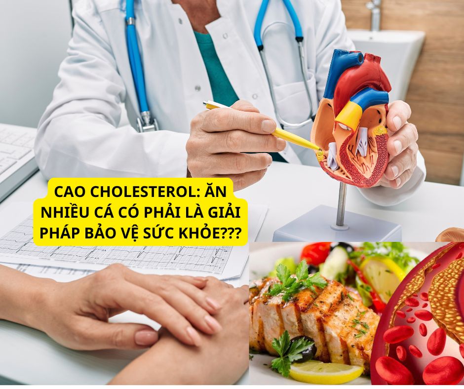 Cao cholesterol: Ăn nhiều cá có phải là giải pháp bảo vệ sức khỏe?